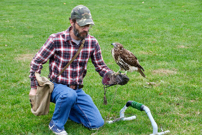 Sam Findley trains with a red-tailed hawk on the intramural fields at Penn State Altoona