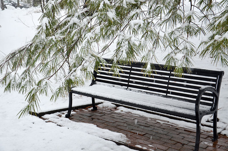 A snow-covered bench