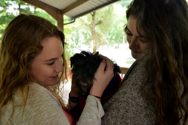 Students enjoying cuddle time with puppies at the Hugs for Hounds event