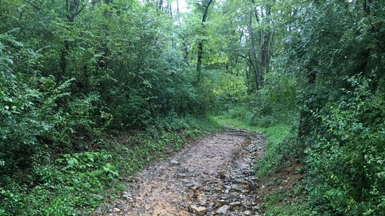 A trail at Chimney Rocks, Blair County, PA