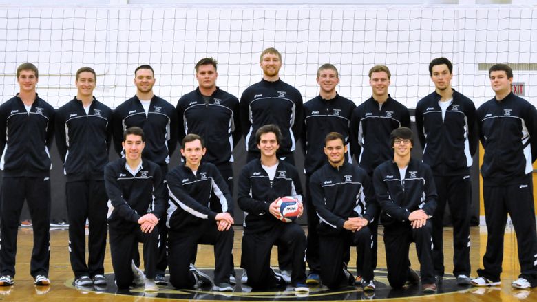 Men's volleyball team
