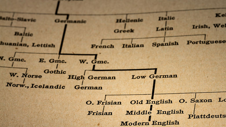 Flowchart of languages