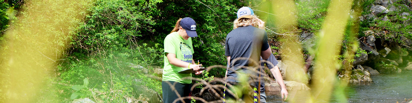 Students and faculty studying biology in the field