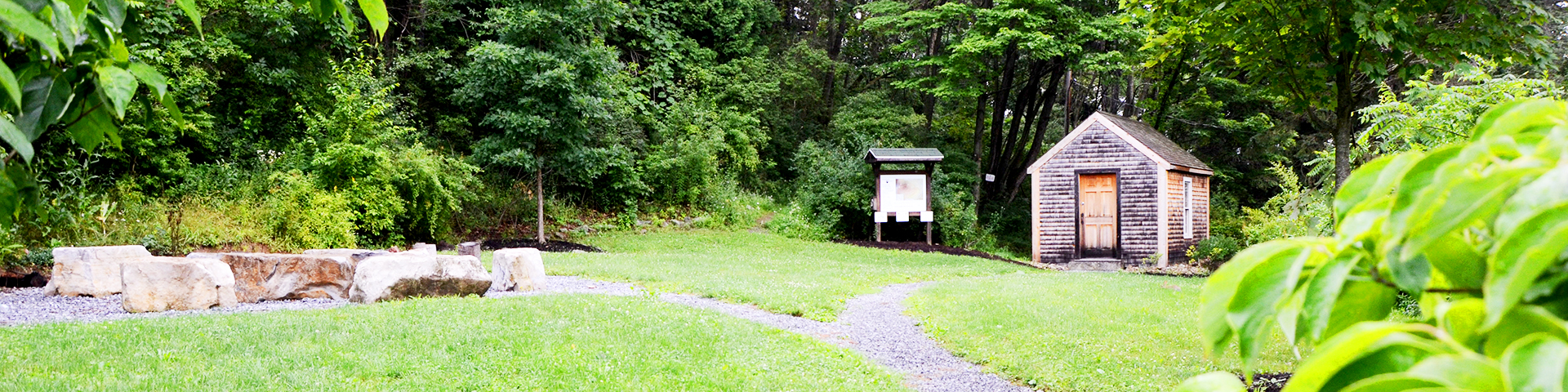 Thoreau Cabin and Seminar Forest