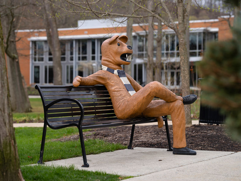 A statue of the Nittany Lion mascot on Penn State Altoona's campus
