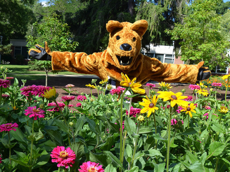 Nittany Lion welcoming you to campus behind a bed of flowers