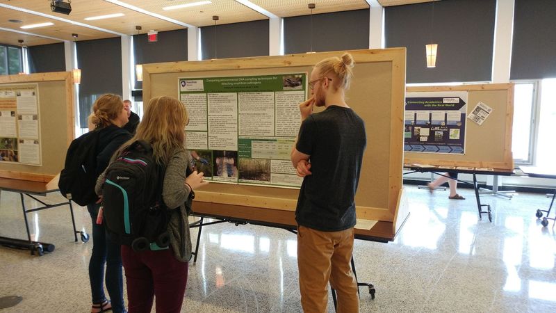 Students look at a presentation at the Student Expo