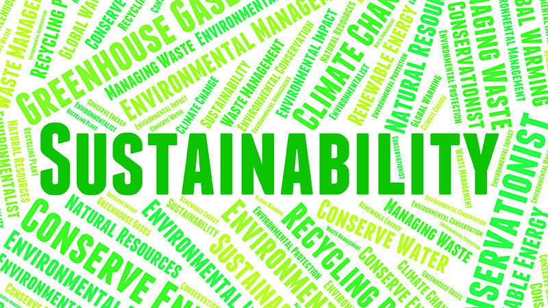 Stepping Toward Sustainability | Penn State Altoona