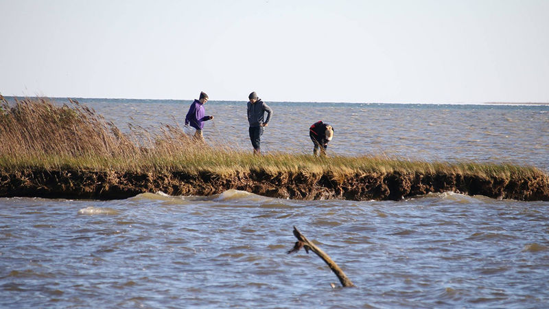 Students studying at Chesapeake Bay