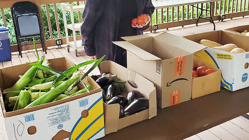 Student checks out produce at the farmer's market