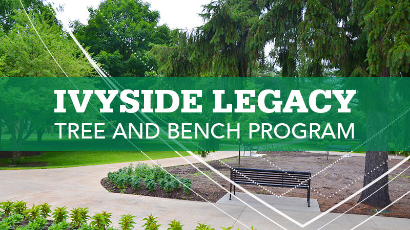 Ivyside Legacy Tree and Bench Program