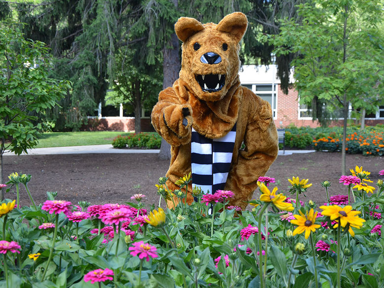 Nittany Lion posing with some flowers