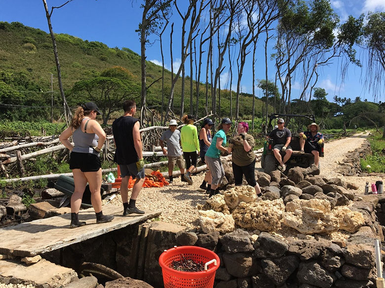 Students and faculty conduct research in Hawaii