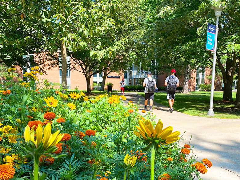 Students walking to and from the library during the summer