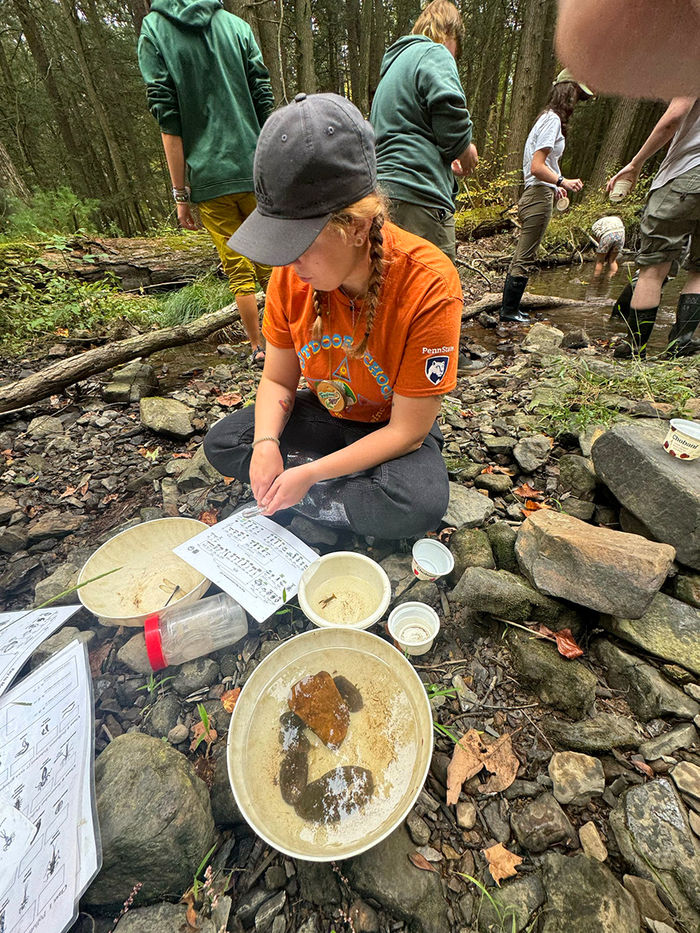 Hatch trains for a stream study, conducted with students to introduce the relationship between bioindicators and water quality.