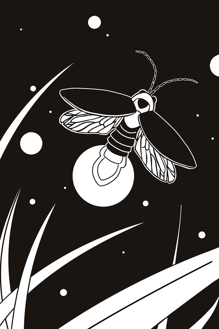 Black and white print of a glowing firefly flying among tall grass at night, with circular stars or light orbs scattered across the sky.