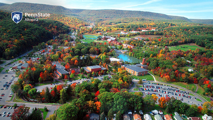 Zoom Background: Aerial View of Campus