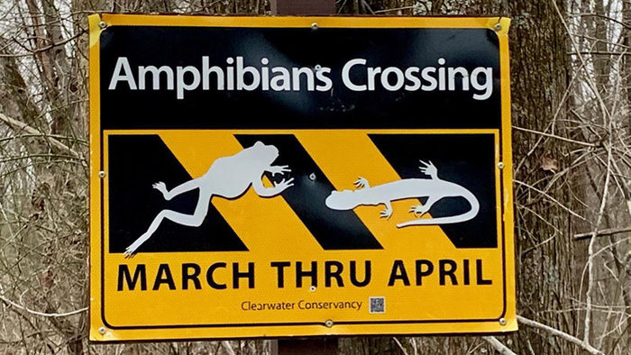 A sign in the Scotia Game Lands in Centre County reminds visitors to be careful and keep an eye out for amphibians.
