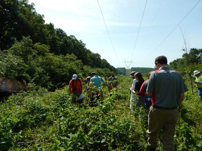 Researchers and funders spread out to check on vegetation treatment success.