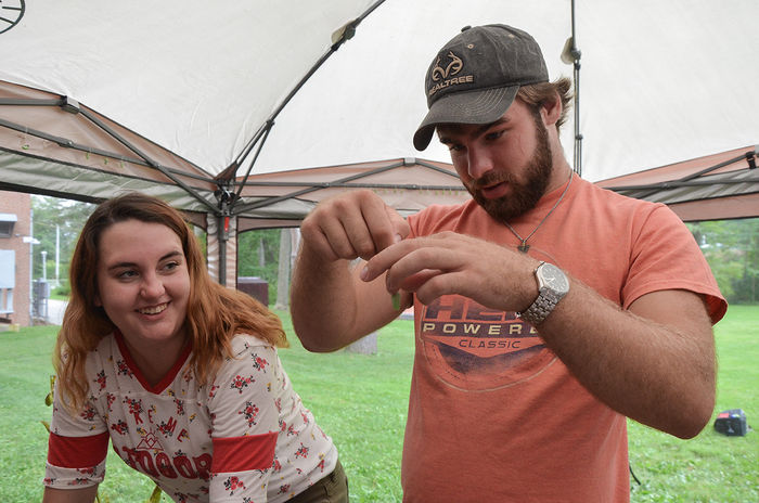 Michelle Smithbauer and Nathan White prepare to hang chrysalises around the monarch way station.