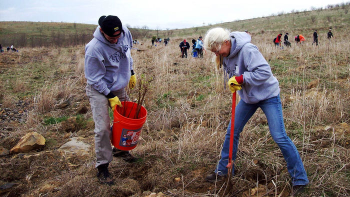 Doug Page and Laura Rotunno planting trees in 2013