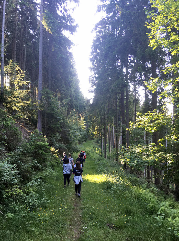 Jacobson explores the thick forests around Hermeskeil, Germany, in 2019