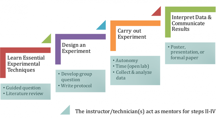 Developing Course-based Undergraduate Research Experiences (CUREs ...