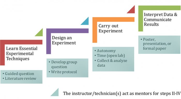 The Four-step CURE Pedagogical Framework used to develop and implement CURES in CHANCE field courses.