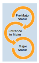A graphic demonstrating the pre-major process
