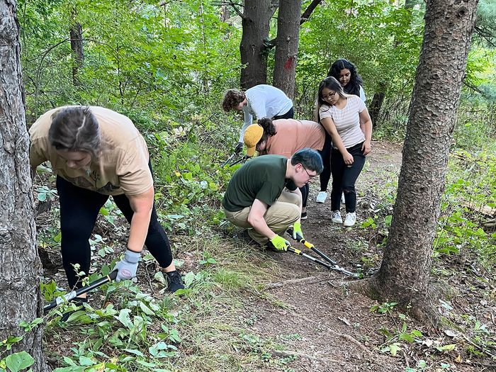 Students participate in the Seminar Forest Clean-up