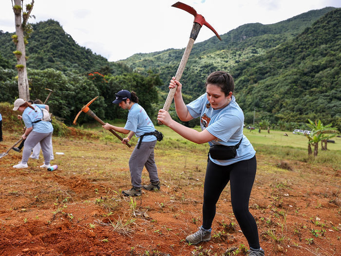 A student actively swings a tool while planting kidney beans in Puerto Rico