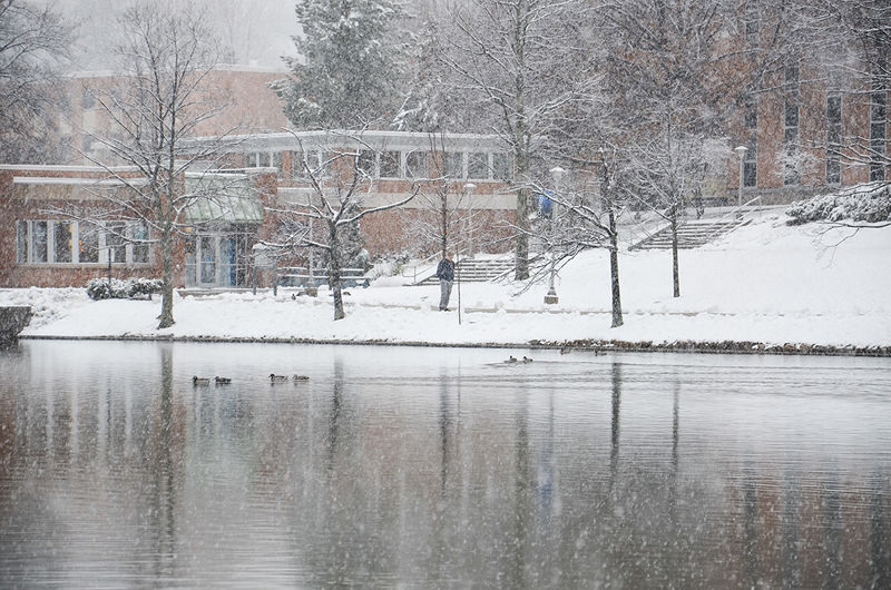 A view of the bookstore and oak hall across the pond