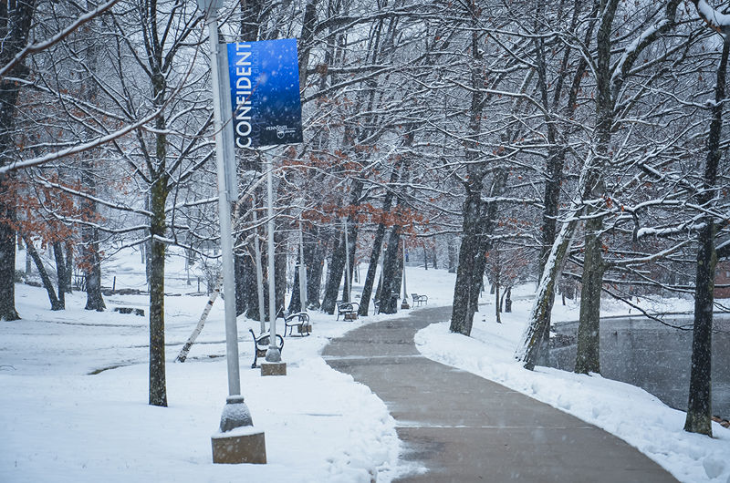 A snowy path on campus
