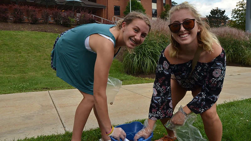 First year students tie-dye their shirts at the Friends for Life event.