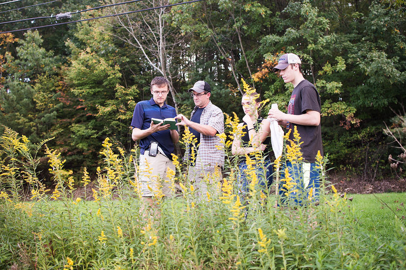 Students study with Professor Carolyn Mahan at the Seminar Forest