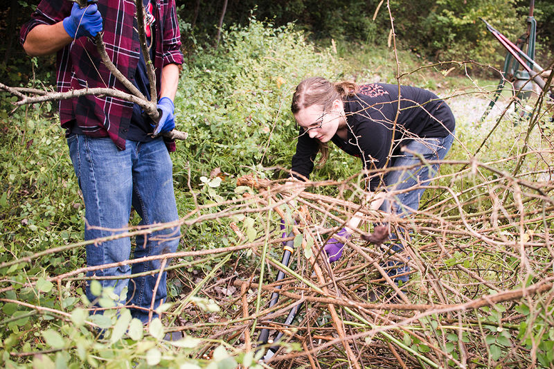 Students from Dr. Carolyn Mahan and Dr. Todd Davis’s Environmental Studies 100: Visions of Nature class participated in two service learning projects in the meadow at the Seminar Forest.