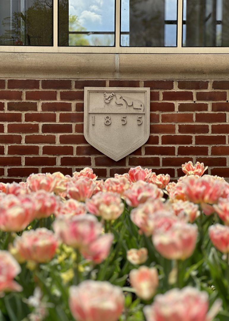 Pink tulips in front of an etched Penn State University shield on a brick building
