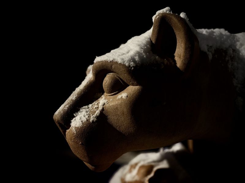A side portrait of the Nittany Lion shrine at night