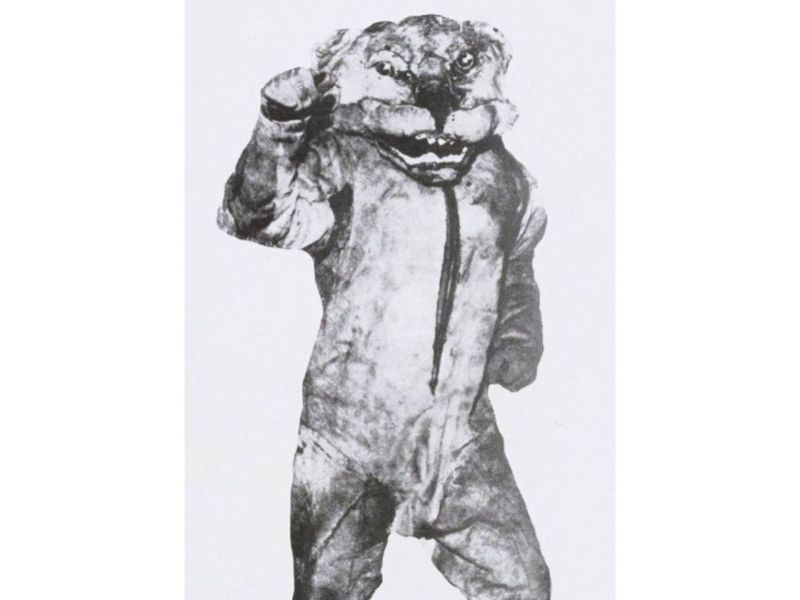 The Nittany Lion in 1961