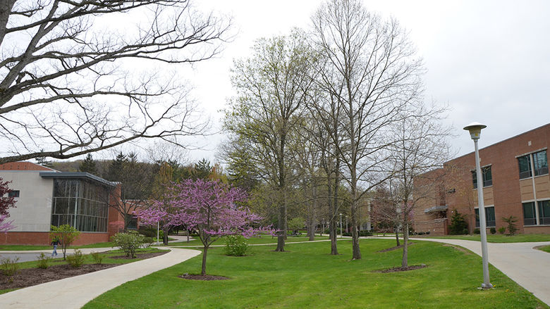 Spring 2017 on Campus