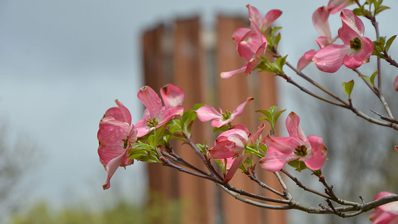 Spring 2017 on Campus