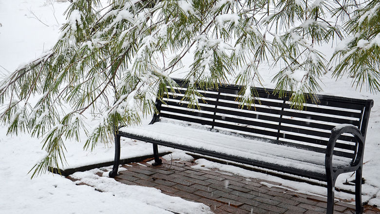 A snow-covered bench
