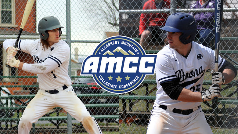 Altoona Baseball AMCC Collage