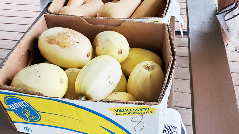 Squashes at the farmer's market