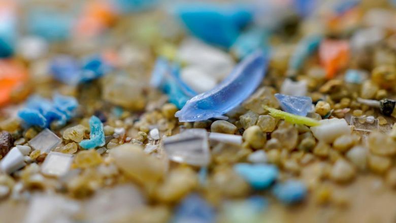 microplastics mixed among sand sediment