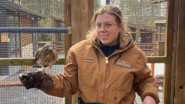 After much training, Hatch was finally trusted to work with Tea, a broad-winged hawk.