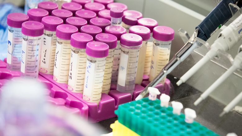 lab vials