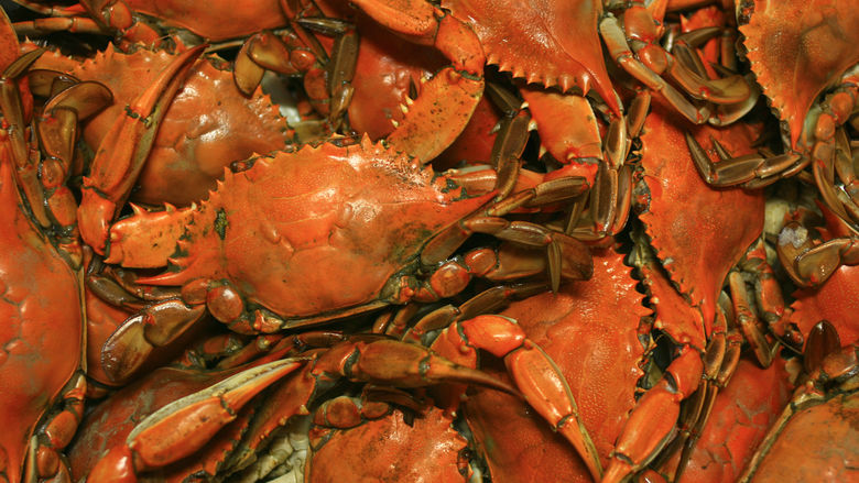 crab shells