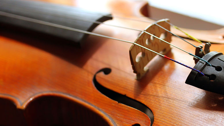 Close up image of a violin