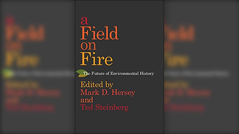 Book Cover: A Field on Fire